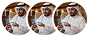 د. خالد الحارثي